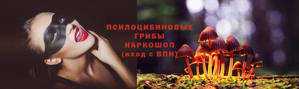 прущий лед Алексеевка
