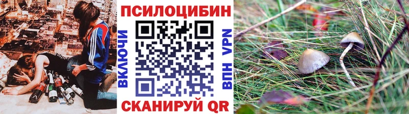 Галлюциногенные грибы MAGIC MUSHROOMS  KRAKEN ссылки  Киров  даркнет сайт 