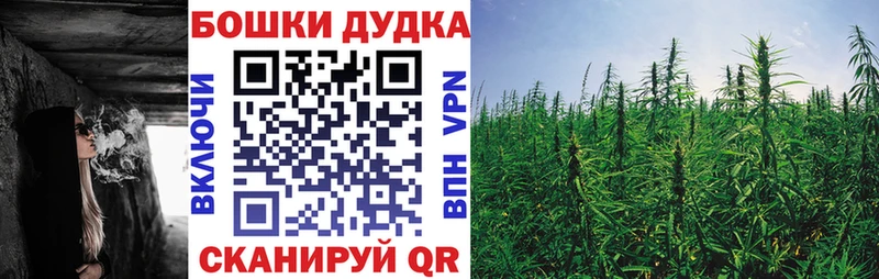 Шишки марихуана планчик  что такое наркотик  Киров 